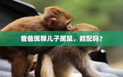 属相匹配，爸爸属猴与儿子属鼠的相处之道
