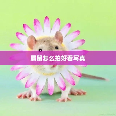 属鼠如何拍出好看的写真艺术照？