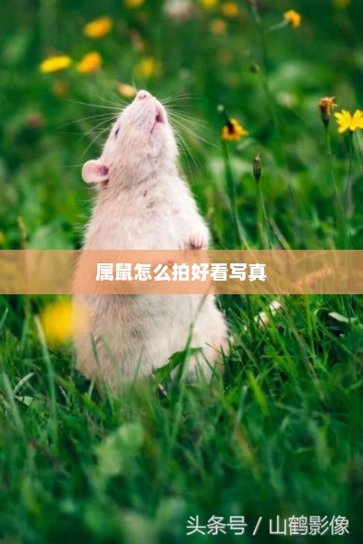 属鼠如何拍出好看的写真艺术照？