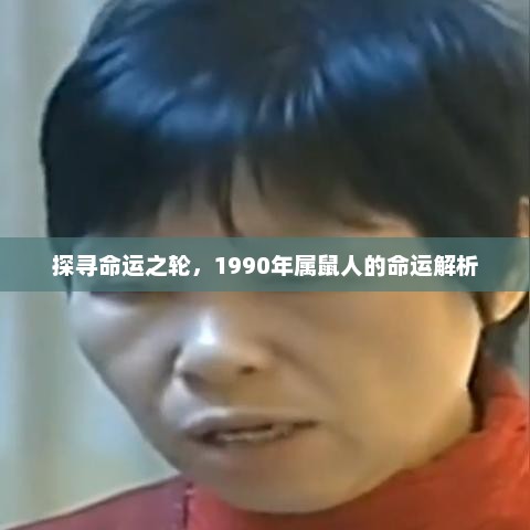 1990年属鼠人的命运探寻与解析，命运之轮下的独特轨迹