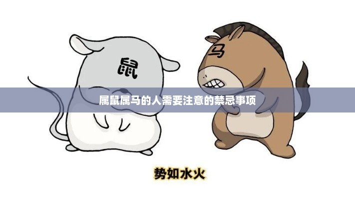 属鼠属马的人需知的禁忌事项提醒