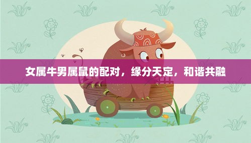 女属牛男属鼠，缘分天定，和谐相配的情侣组合