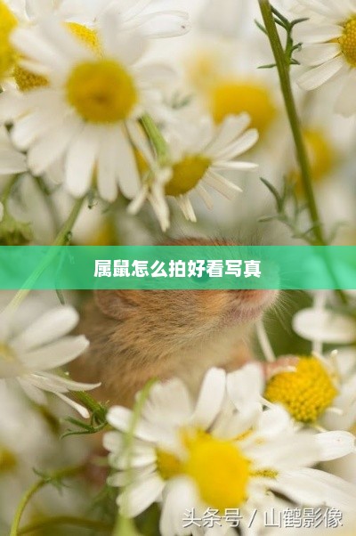 属鼠如何拍出好看的写真艺术照？