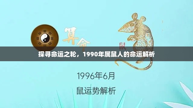 1990年属鼠人的命运探寻与解析，命运之轮下的独特轨迹