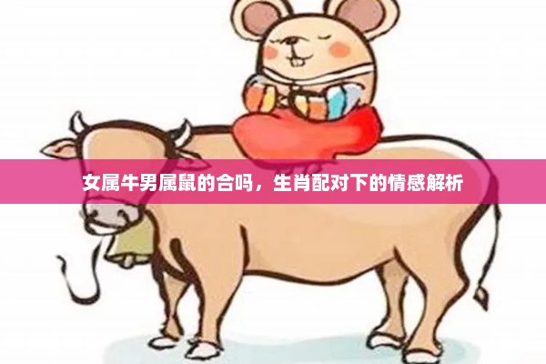 生肖配对下的情感解析，女属牛与男属鼠的合适性分析