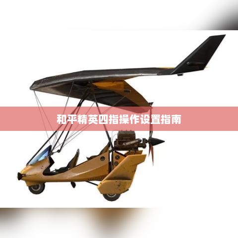 和平精英四指操作设置详解指南