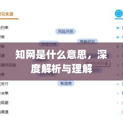 知网深度解析，概念、功能及其意义探究