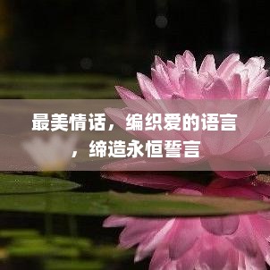 最美情话，编织爱的誓言，缔造永恒承诺