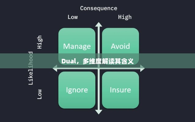 Dual，多维度解读与深层含义探索