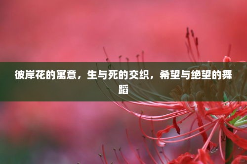 彼岸花的生死交织，生与死之舞与希望与绝望的寓意