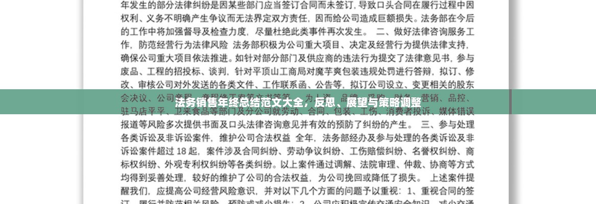 法务销售年终总结，反思、展望与策略调整范文集锦