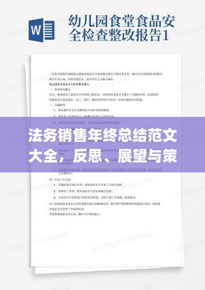 法务销售年终总结，反思、展望与策略调整范文集锦