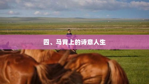 马背上的诗意人生之旅