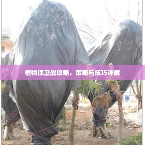 植物保卫战全面攻略，策略与技巧详解