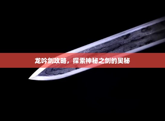 龙吟剑神秘奥秘探索攻略