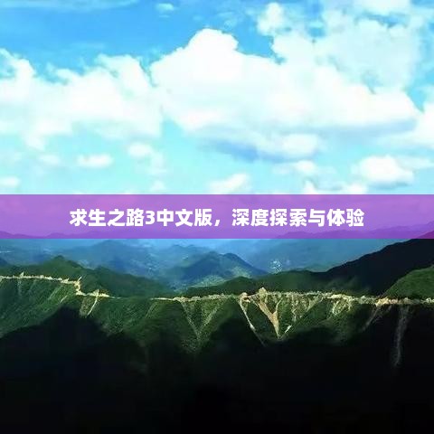求生之路3中文版，深度探索与沉浸式体验
