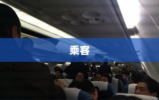 美客机起飞起火原因揭晓，兔子意外被吸入发动机飞行75分钟