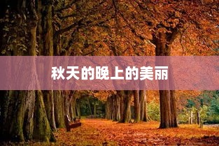 秋夜之景