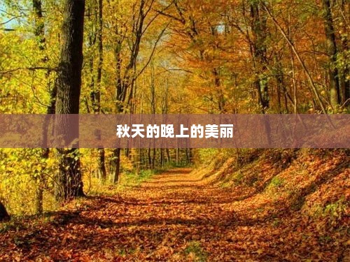 秋夜之景