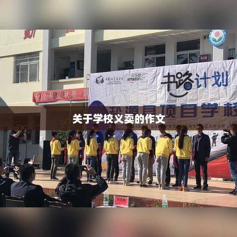 校园义卖盛况，一次爱心与智慧的盛宴