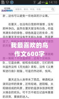飞翔的魅力，我钟爱的鸟类