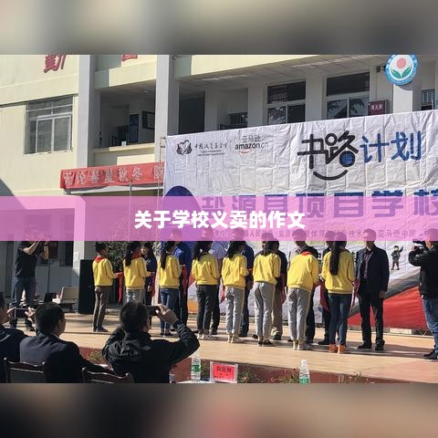 校园义卖盛况，一次爱心与智慧的盛宴