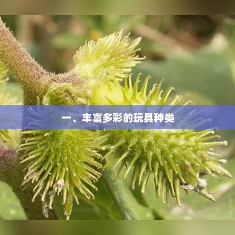 玩具种类繁多，乐趣无穷