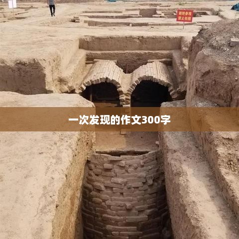 探索新发现，一次难忘的探索之旅