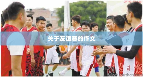 友谊赛中的激情与成长