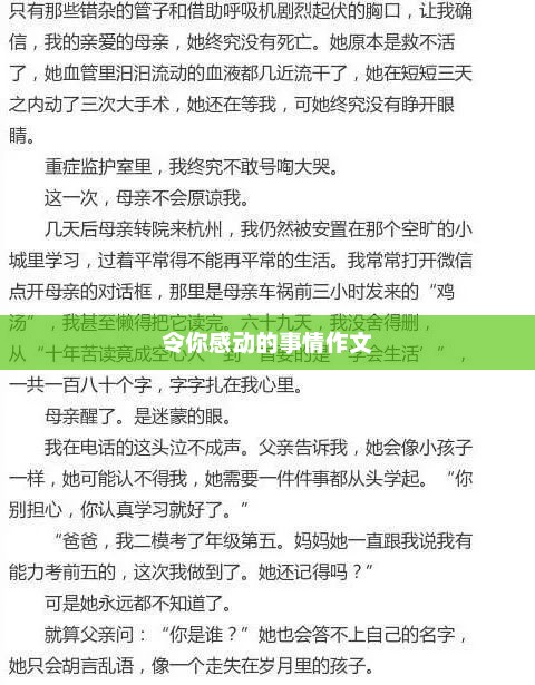 温暖瞬间，触动心灵的瞬间故事