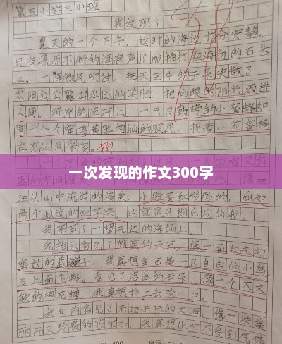 探索新发现，一次难忘的探索之旅
