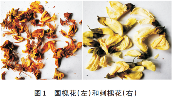 苹果中的维生素C含量超普通水果10倍
