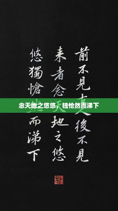 念天地之悠悠，独怆然而涕下，天地悠悠，独感怀之涕下