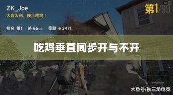 吃鸡垂直同步开与不开，吃鸡游戏，开启或关闭垂直同步效果体验