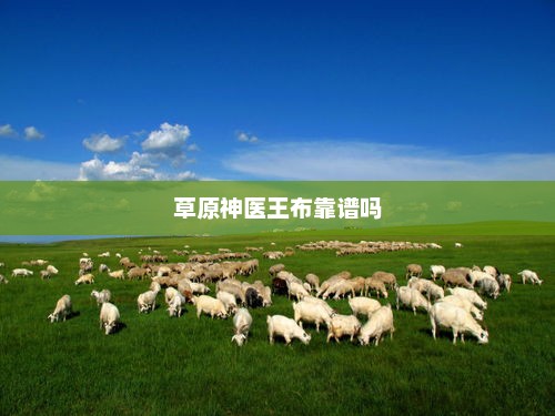 草原神医王布靠谱吗，草原神医王布，靠谱之选