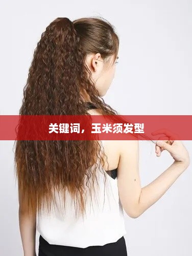关键词，玉米须发型