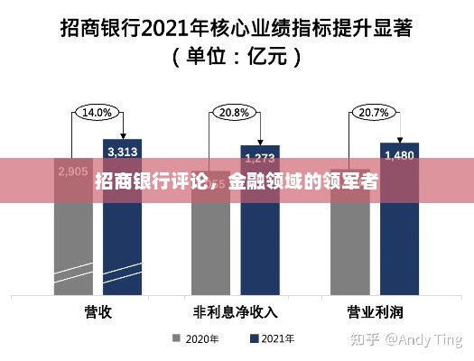 招商银行评论，金融领域的领军者，招商银行，金融领域的领军者评论