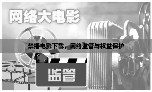 禁播电影下载，网络监管与权益保护，网络监管与电影下载权益保护标题