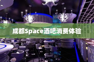 成都Space酒吧消费体验，成都Space酒吧消费体验，沉浸式娱乐与独特氛围
