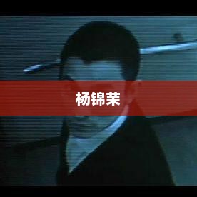 杨锦荣，杨锦荣，创新引领未来