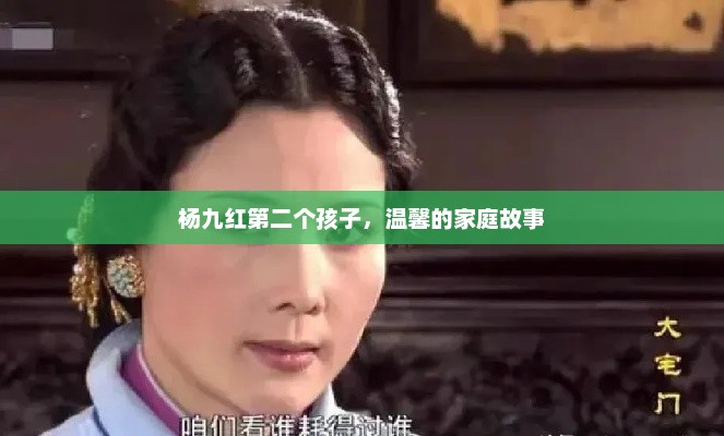 杨九红第二个孩子，温馨的家庭故事，杨九红二胎喜获温馨家庭新篇章
