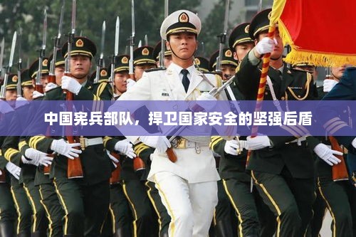 中国宪兵部队，捍卫国家安全的坚强后盾，中国宪兵部队，国家安全的坚强后盾