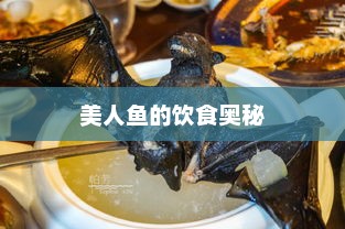 美人鱼的饮食奥秘，美人鱼饮食新发现，探索神秘美食奥秘
