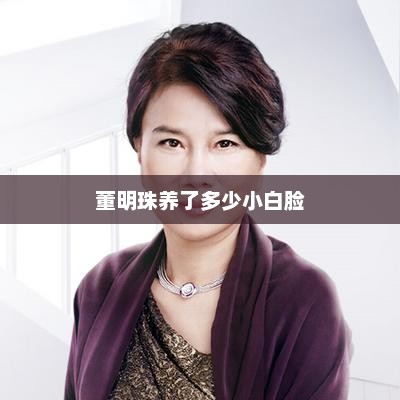 董明珠养了多少小白脸 董明珠养了多少小白脸
