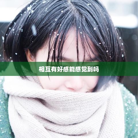 相互有好感能感觉到吗，相互有好感时是否能够感受到？