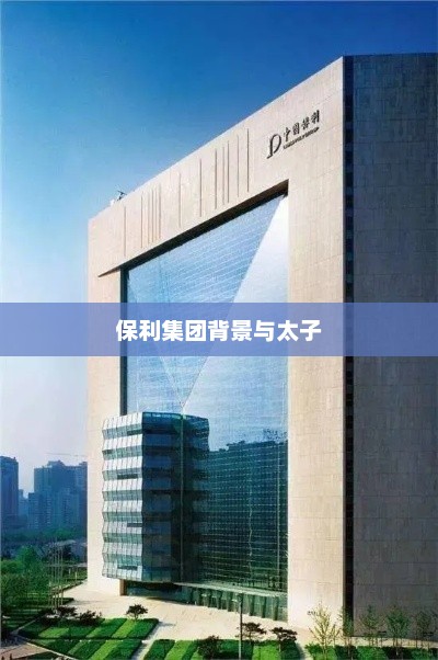 保利集团背景与太子，保利集团背景与太子地位显赫
