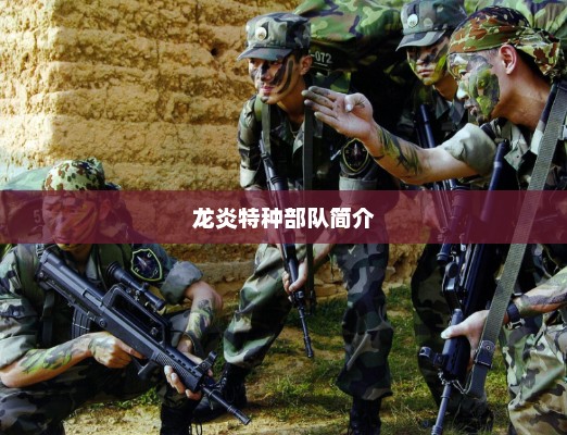 龙炎特种部队简介