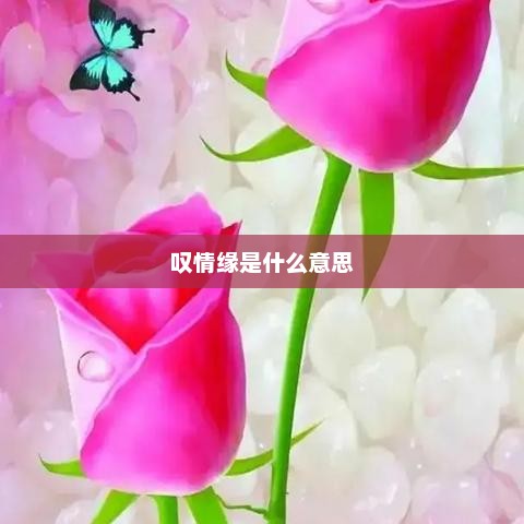叹情缘是什么意思，叹情缘表示感慨或赞叹两个人之间的情缘