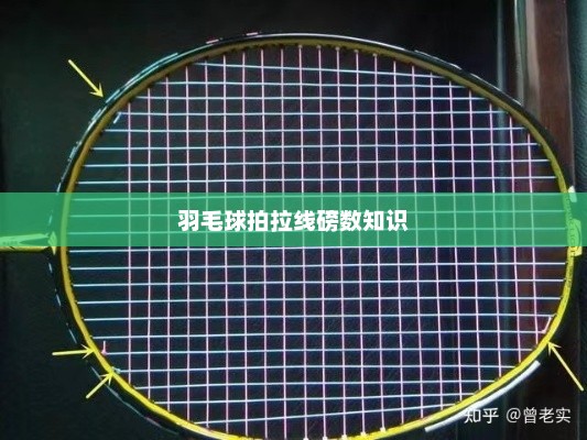 羽毛球拍拉线磅数知识，羽毛球拍拉线磅数决定胜负