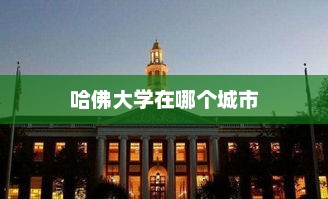 哈佛大学在哪个城市，哈佛大学位于美国纽约市。